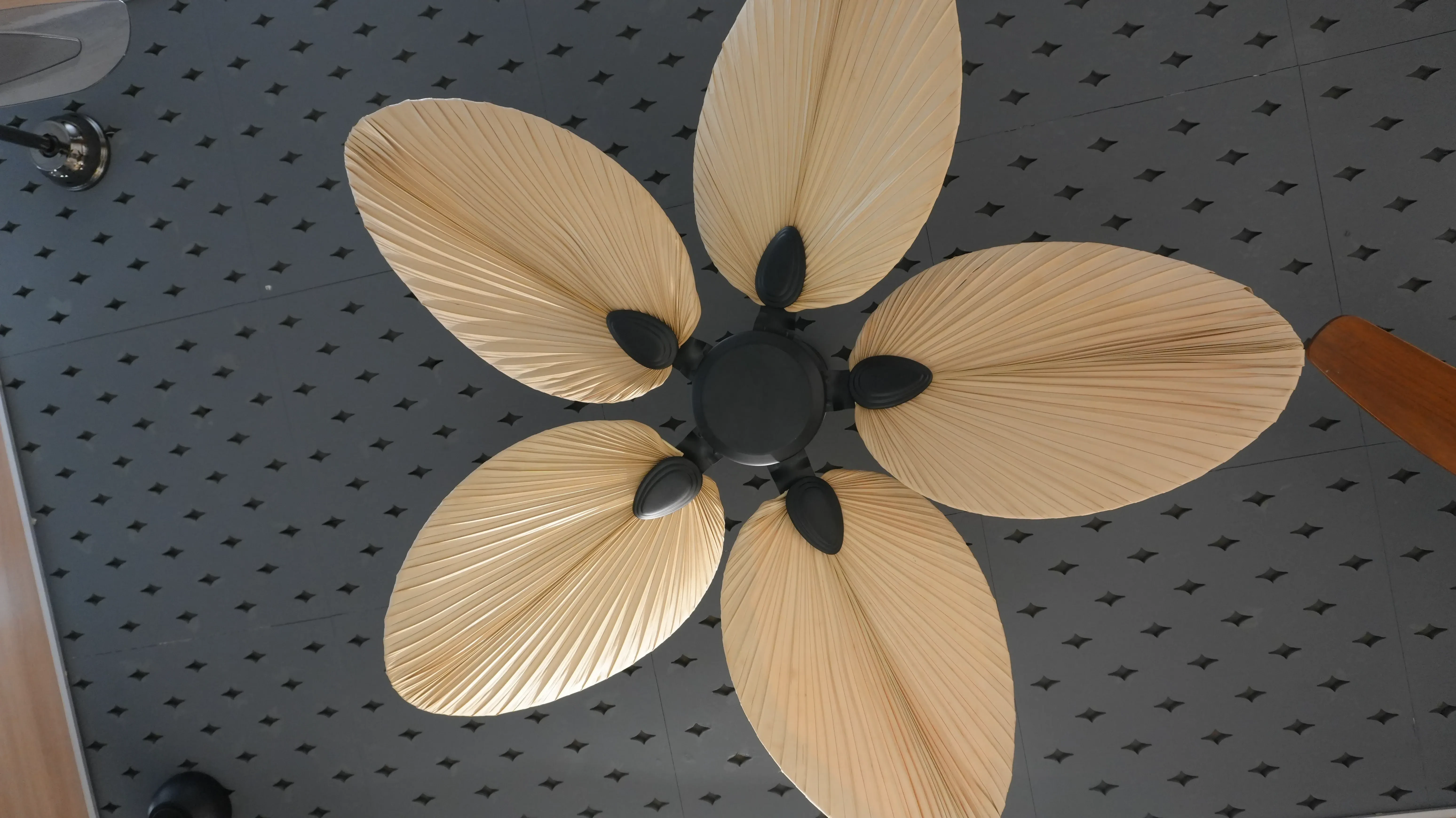 Designer Fan